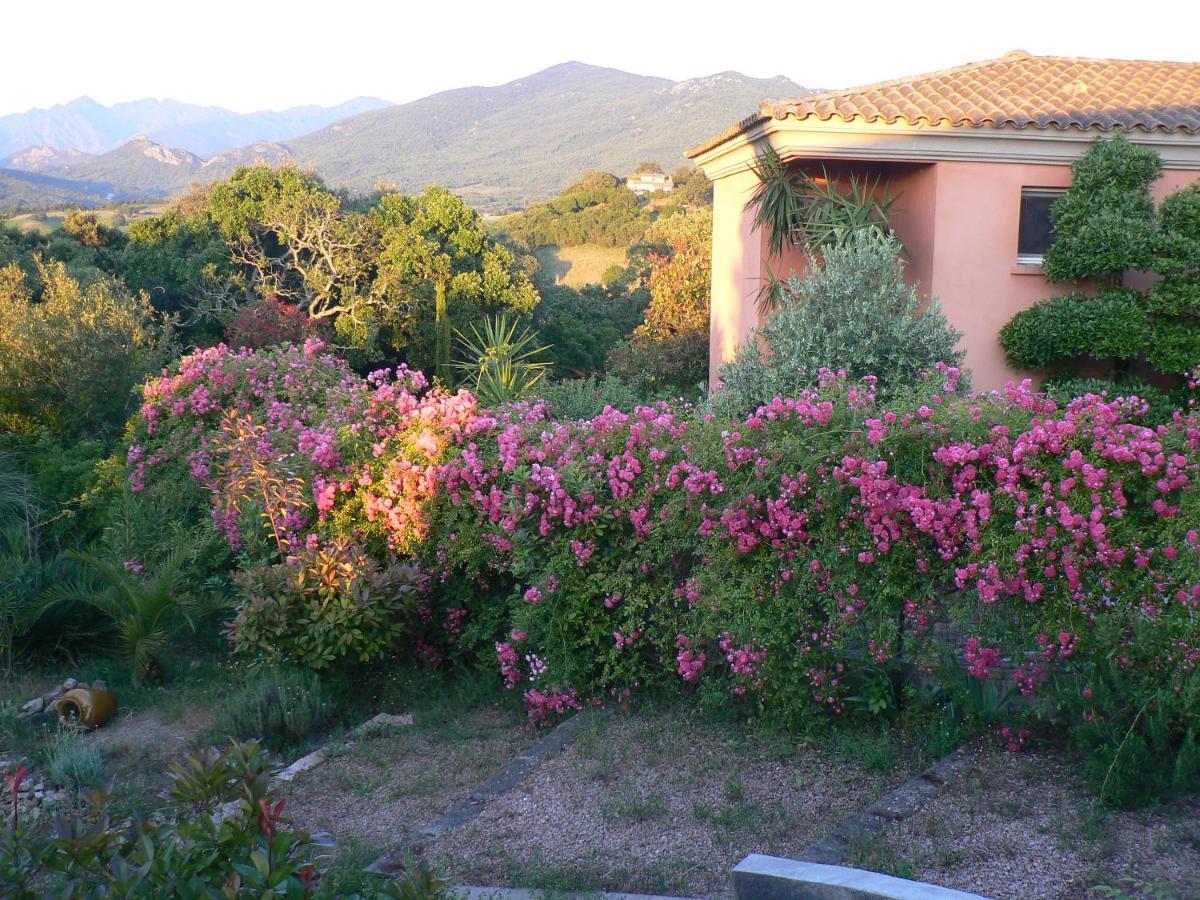 Chambre D'Hote Casa Tozza Porticcio  Luaran gambar